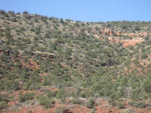Sedona-fd0022